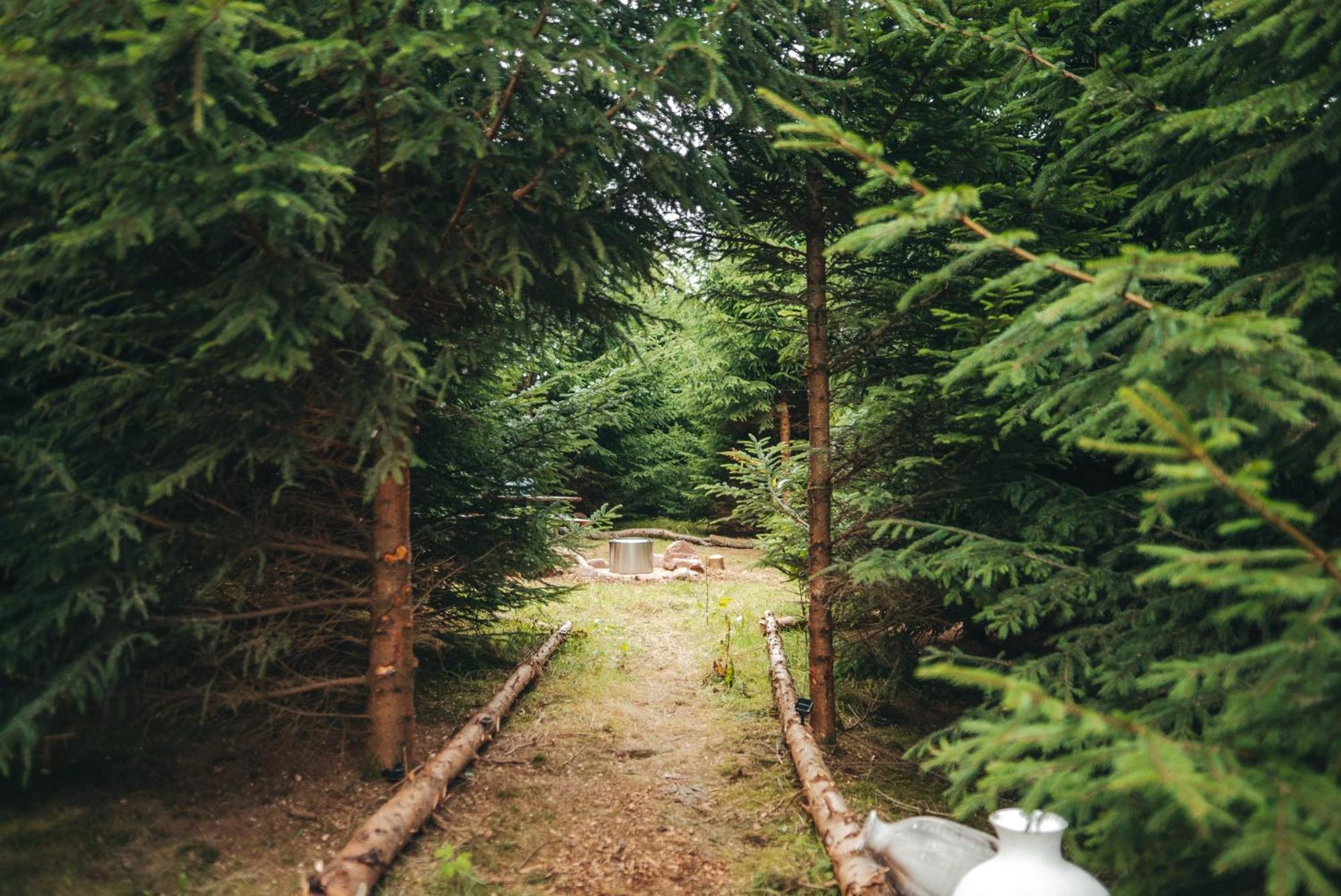 Cosy Forest Lodge Penrhos  Exteriér fotografie