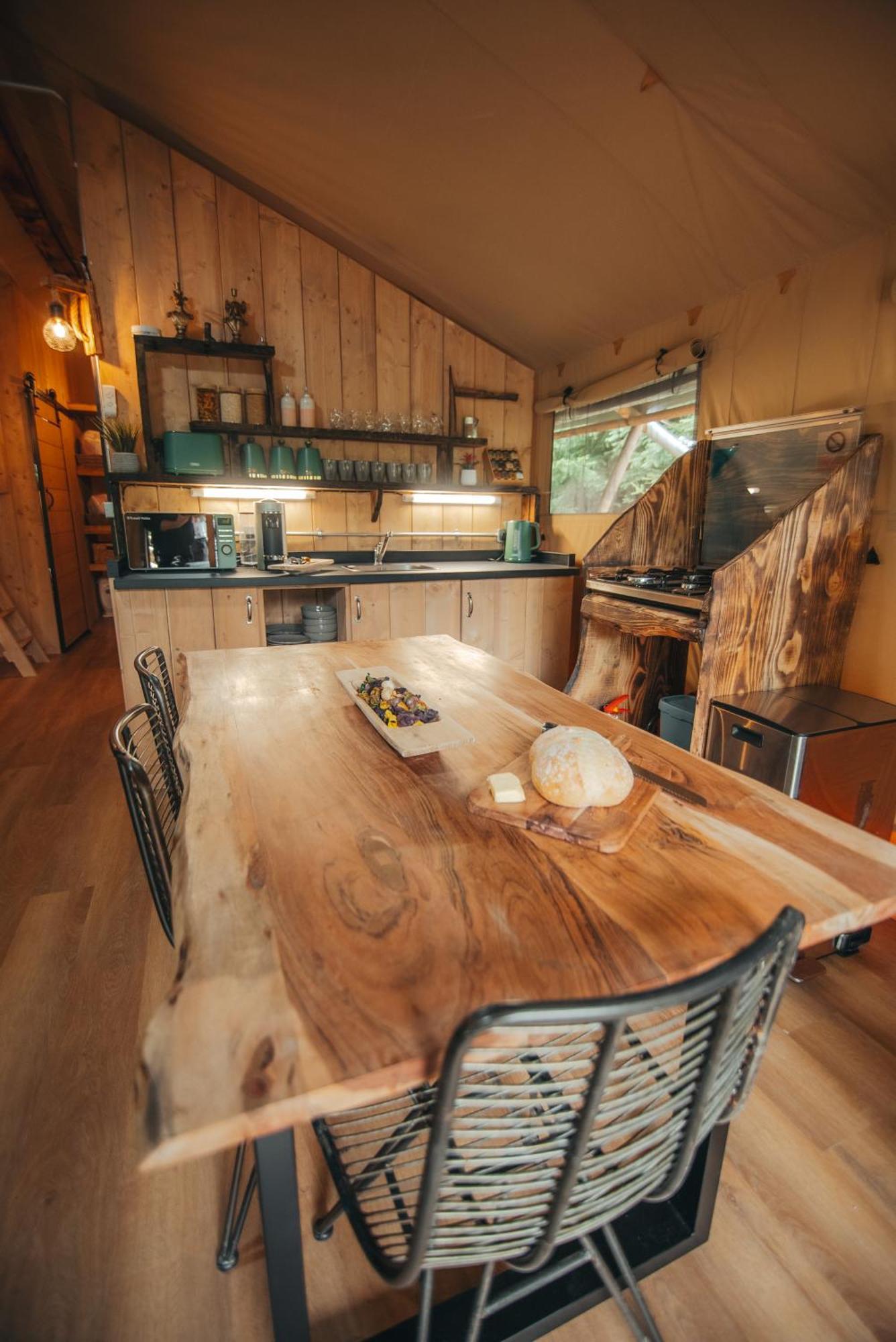 Cosy Forest Lodge Penrhos  Exteriér fotografie