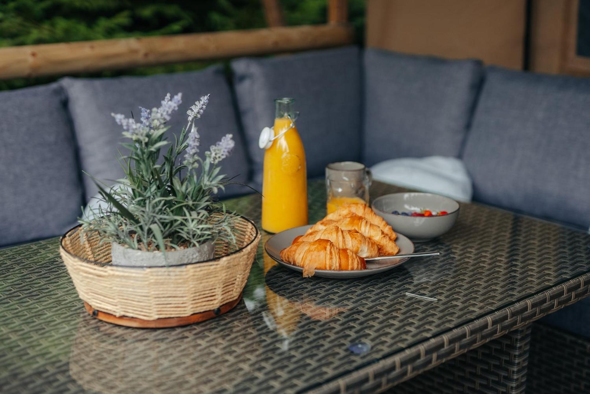 Cosy Forest Lodge Penrhos  Exteriér fotografie